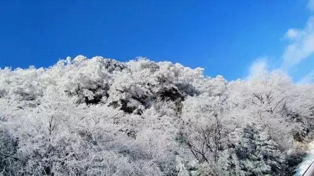 聪明如蜗牛,解答之力|孩子问我妈妈你会死掉吗?应该怎么回答?问答平台