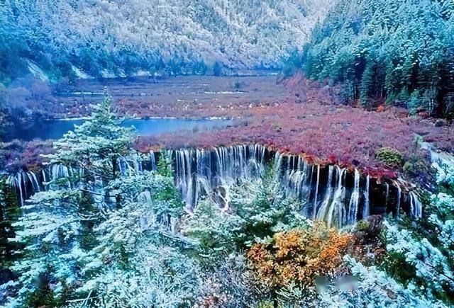 爱旅行的芭比