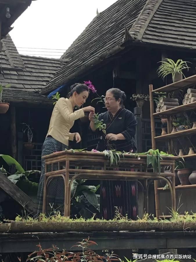 【生活提示】太原植物园科普导览功能上线