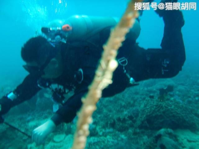 我的世界Minecraft