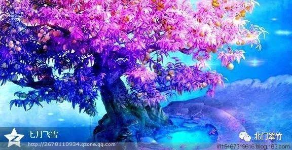 市委常委会召开会议 李理主持