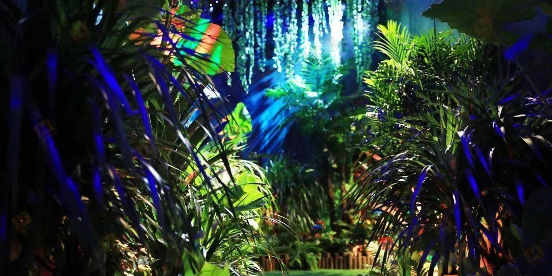 幻想乡大冒险